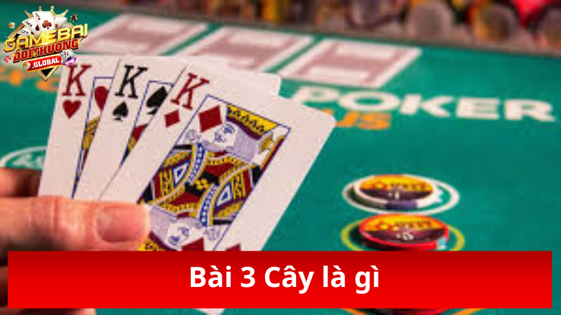 Tìm hiểu Bài 3 Cây là gì nhanh chóng